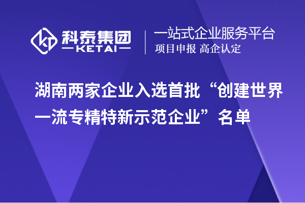 湖南兩家企業(yè)入選首批“創(chuàng)建世界一流專精特新示范企業(yè)”名單