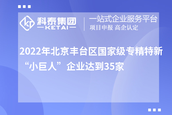 2022年北京豐臺(tái)區(qū)國(guó)家級(jí)專精特新“小巨人”企業(yè)達(dá)到35家