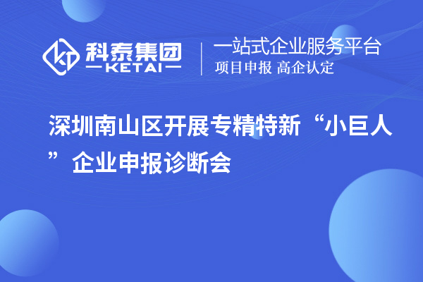 深圳南山區(qū)開展專精特新“小巨人”企業(yè)申報(bào)診斷會(huì)