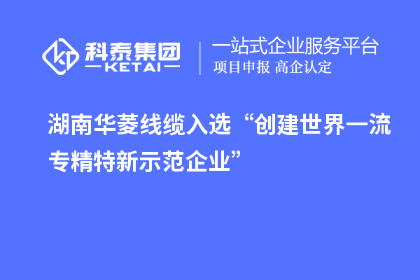 湖南華菱線纜入選“創(chuàng)建世界一流專精特新示范企業(yè)”