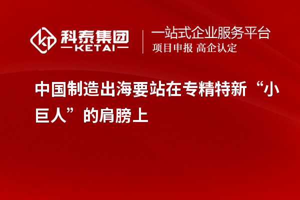 中國制造出海要站在專精特新“小巨人”的肩膀上