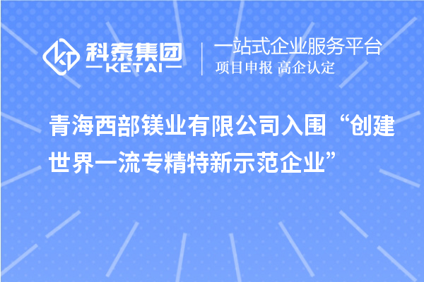 青海西部鎂業(yè)有限公司入圍“創(chuàng)建世界一流專精特新示范企業(yè)”