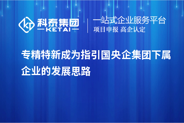 專精特新成為指引國(guó)央企集團(tuán)下屬企業(yè)的發(fā)展思路