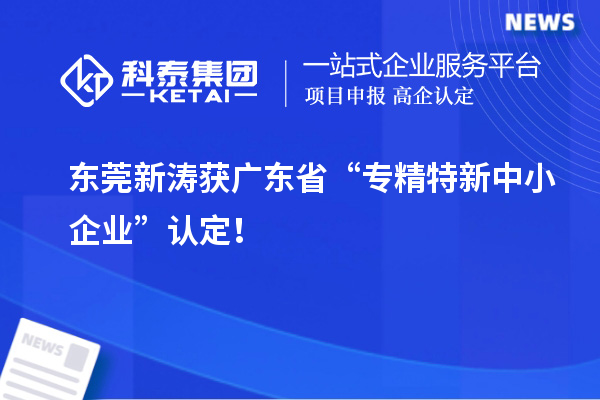 東莞新濤獲廣東省“專精特新中小企業(yè)”認定！