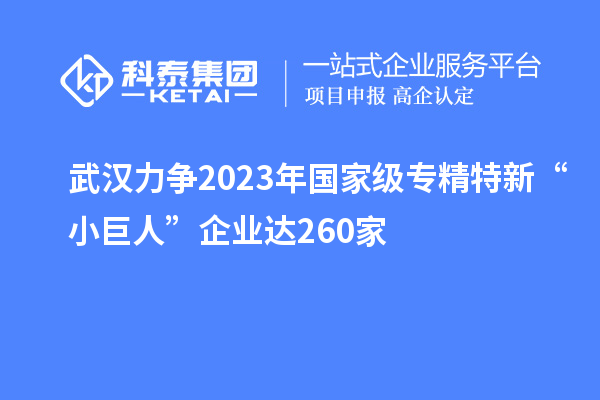 武漢力爭(zhēng)2023年國(guó)家級(jí)專(zhuān)精特新“小巨人”企業(yè)達(dá)260家