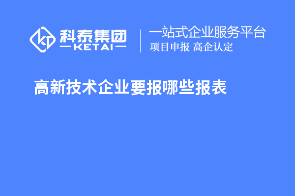 高新技術(shù)企業(yè)要報哪些報表