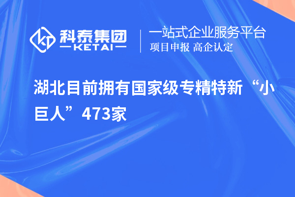 湖北目前擁有國家級(jí)專精特新“小巨人”473家