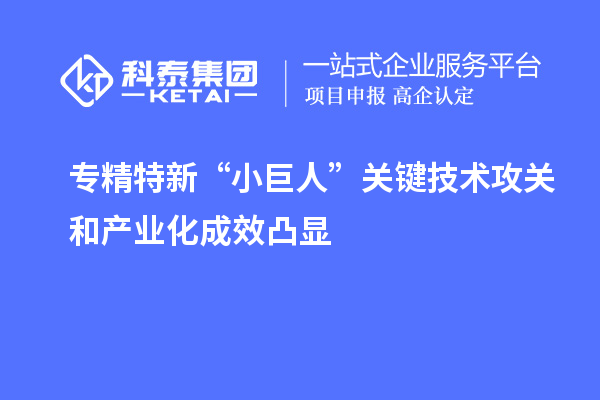 專精特新“小巨人”關鍵技術攻關和產(chǎn)業(yè)化成效凸顯