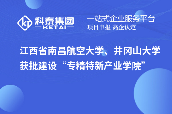 江西省南昌航空大學(xué)、井岡山大學(xué)獲批建設(shè)“專精特新產(chǎn)業(yè)學(xué)院”