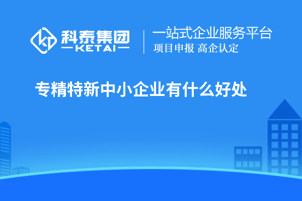 專精特新中小企業(yè)有什么好處