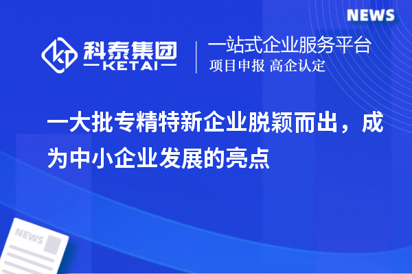 一大批專精特新企業(yè)脫穎而出，成為中小企業(yè)發(fā)展的亮點