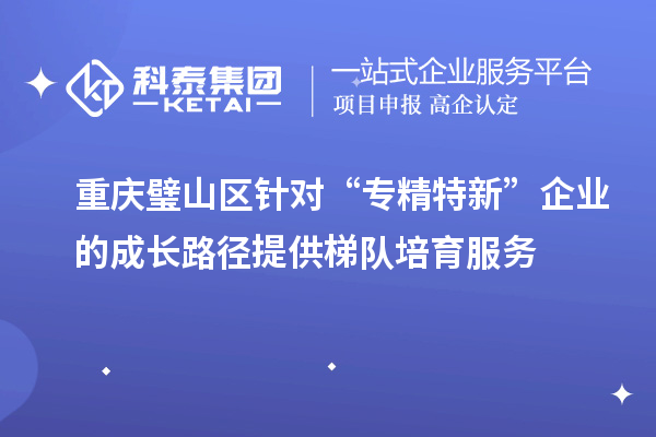 重慶璧山區(qū)針對“專精特新”企業(yè)的成長路徑提供梯隊培育服務(wù)