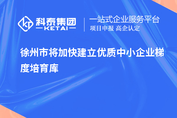 徐州市將加快建立優(yōu)質中小企業(yè)梯度培育庫