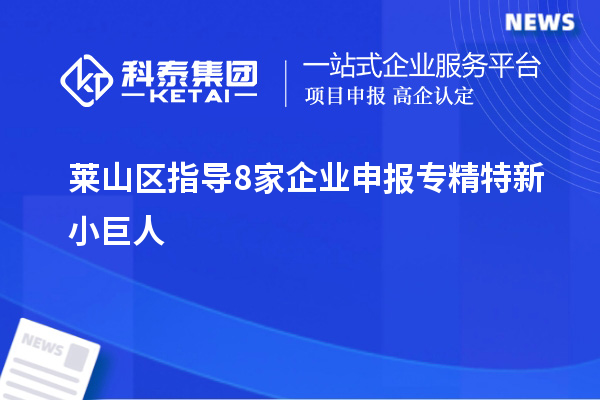 萊山區(qū)指導(dǎo)8家企業(yè)申報(bào)專(zhuān)精特新小巨人