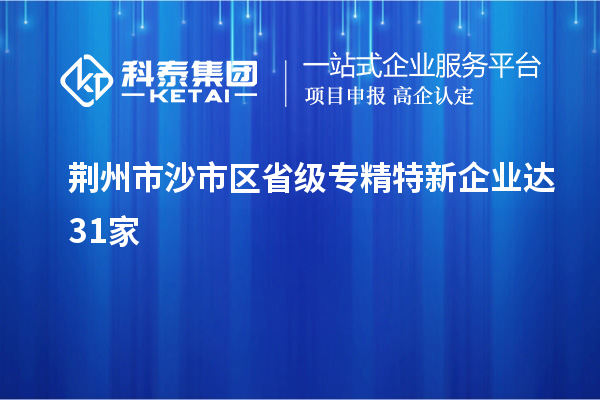 荊州市沙市區(qū)省級(jí)專精特新企業(yè)達(dá)31家