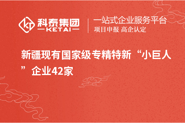 新疆現有國家級專精特新“小巨人”企業(yè)42家