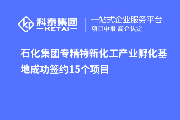 石化集團(tuán)專精特新化工產(chǎn)業(yè)孵化基地成功簽約15個項目