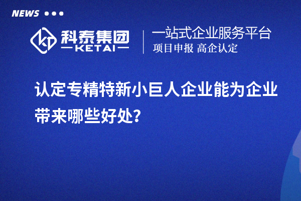 認(rèn)定專精特新小巨人企業(yè)能為企業(yè)帶來哪些好處？