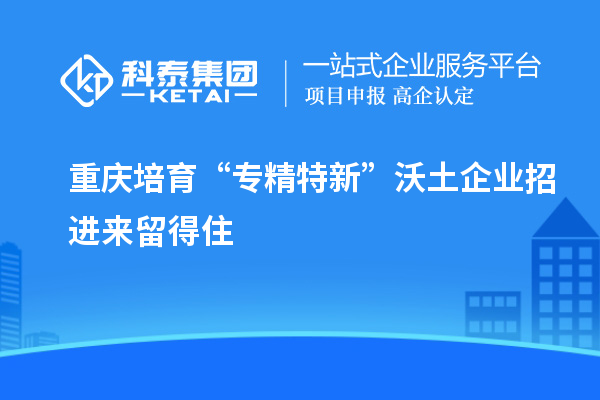 重慶培育“專精特新”沃土 企業(yè)招進(jìn)來留得住