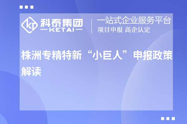 株洲專精特新“小巨人”申報政策解讀