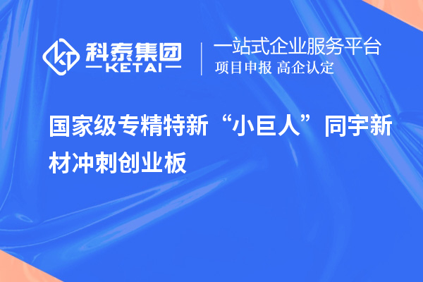 國家級專精特新“小巨人”同宇新材沖刺創(chuàng)業(yè)板