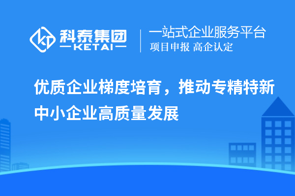 優(yōu)質(zhì)企業(yè)梯度培育，推動(dòng)專精特新中小企業(yè)高質(zhì)量發(fā)展