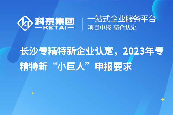 長沙專精特新企業(yè)認(rèn)定，2023年專精特新“小巨人”申報(bào)要求