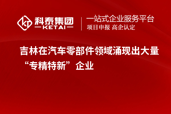 吉林在汽車零部件領(lǐng)域涌現(xiàn)出大量“專精特新”企業(yè)