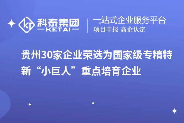 貴州30家企業(yè)榮選為國家級專精特新“小巨人”重點(diǎn)培育企業(yè)