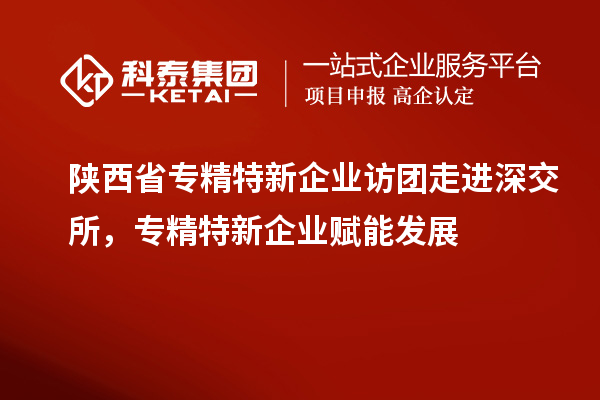 陜西省專精特新企業(yè)訪團走進深交所，專精特新企業(yè)賦能發(fā)展