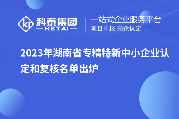 2023年湖南省專精特新中小企業(yè)認定和復核名單出爐