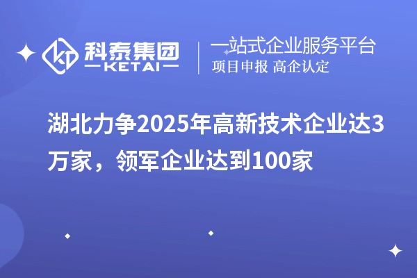 湖北力爭2025年高新技術(shù)企業(yè)達(dá)3萬家，領(lǐng)軍企業(yè)達(dá)到100家