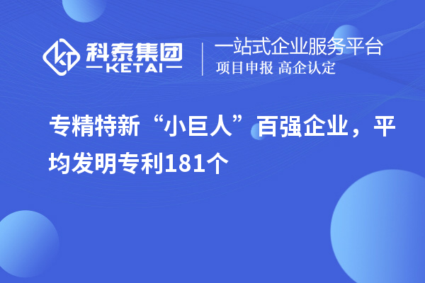 專精特新“小巨人”百強企業(yè)，平均發(fā)明專利181個