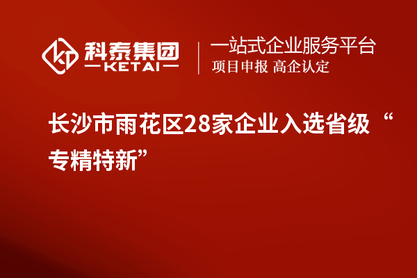 長沙市雨花區(qū)28家企業(yè)入選省級“專精特新”