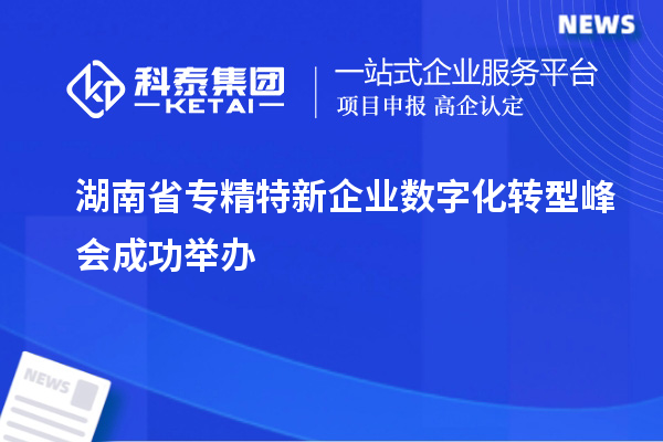 湖南省專精特新企業(yè)數(shù)字化轉(zhuǎn)型峰會(huì)成功舉辦