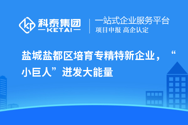 鹽城鹽都區(qū)培育專精特新企業(yè)，“小巨人”迸發(fā)大能量