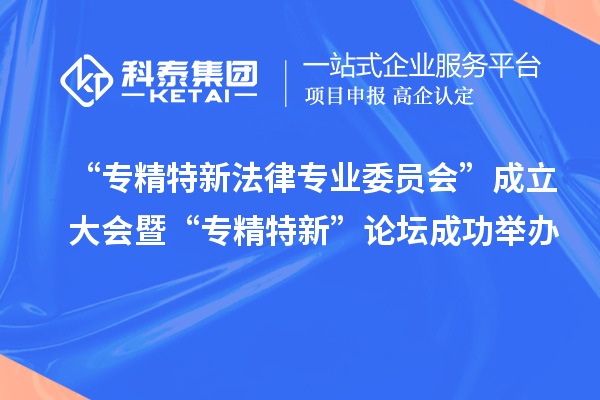 “專精特新法律專業(yè)委員會”成立大會暨“專精特新”論壇成功舉辦