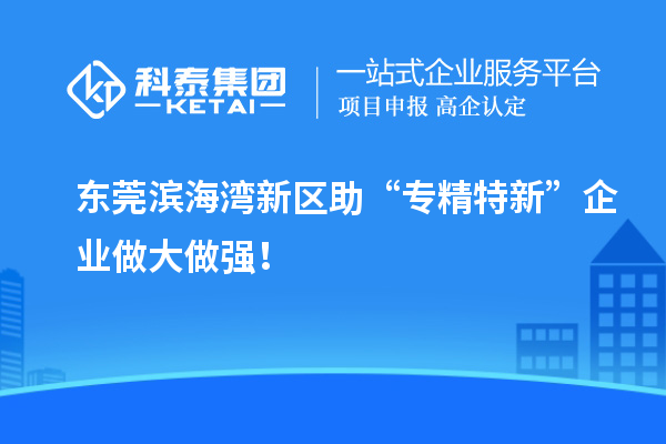 東莞濱海灣新區(qū)助“專精特新”企業(yè)做大做強！