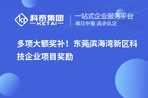 多項(xiàng)大額獎(jiǎng)補(bǔ)！東莞濱海灣新區(qū)科技企業(yè)項(xiàng)目獎(jiǎng)勵(lì)