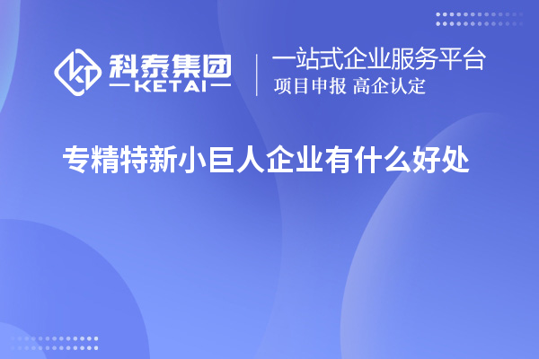 專精特新小巨人企業(yè)有什么好處