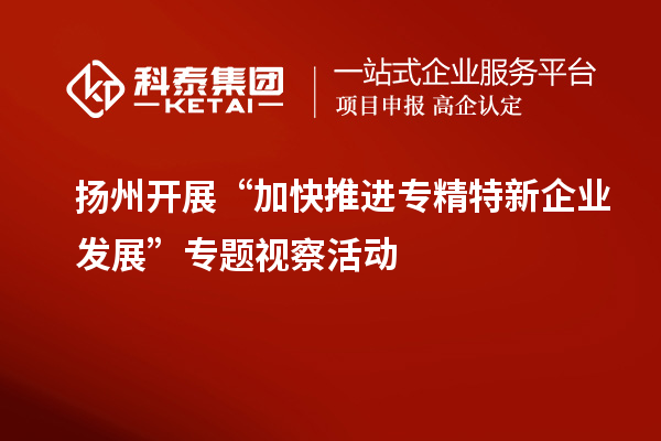 揚(yáng)州開展“加快推進(jìn)專精特新企業(yè)發(fā)展”專題視察活動