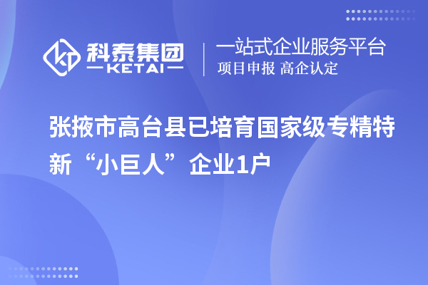 張掖市高臺(tái)縣已培育國家級專精特新“小巨人”企業(yè)1戶