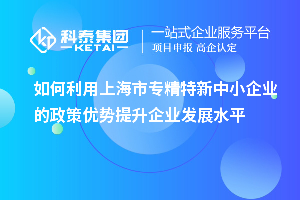 如何利用上海市專精特新中小企業(yè)的政策優(yōu)勢提升企業(yè)發(fā)展水平