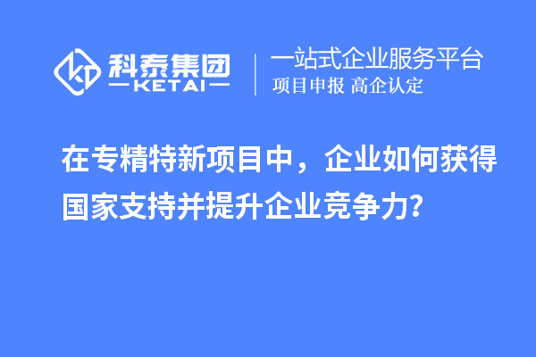 在專精特新項(xiàng)目中，企業(yè)如何獲得國家支持并提升企業(yè)競爭力？