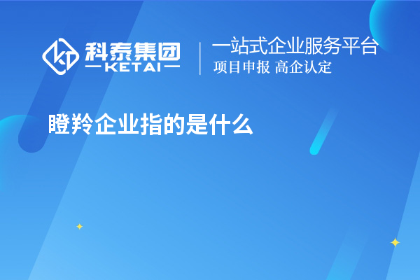 瞪羚企業(yè)指的是什么