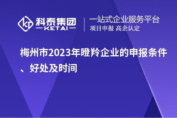 梅州市2023年瞪羚企業(yè)的申報(bào)條件、好處及時(shí)間