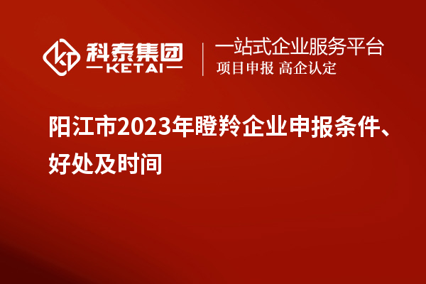 陽江市2023年瞪羚企業(yè)申報條件、好處及時間