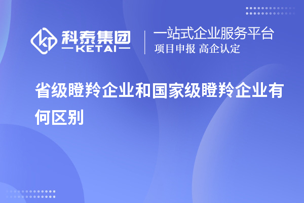 省級(jí)瞪羚企業(yè)和國家級(jí)瞪羚企業(yè)有何區(qū)別