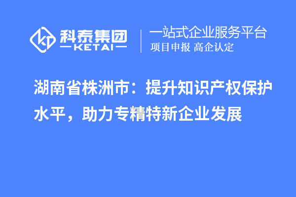 湖南省株洲市：提升知識(shí)產(chǎn)權(quán)保護(hù)水平，助力專精特新企業(yè)發(fā)展