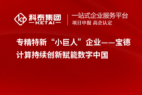 專精特新“小巨人”企業(yè)——寶德計(jì)算持續(xù)創(chuàng)新賦能數(shù)字中國(guó)